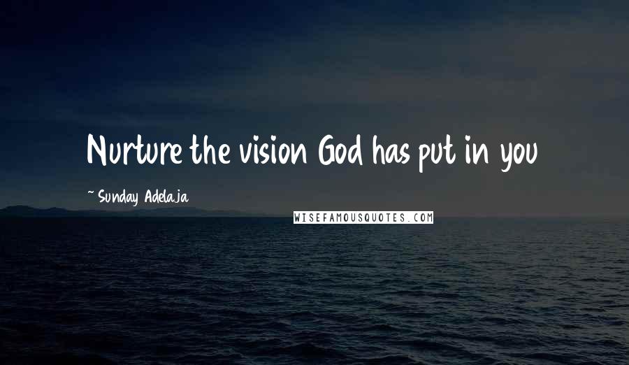 Sunday Adelaja Quotes: Nurture the vision God has put in you