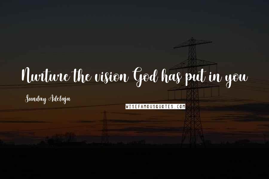 Sunday Adelaja Quotes: Nurture the vision God has put in you