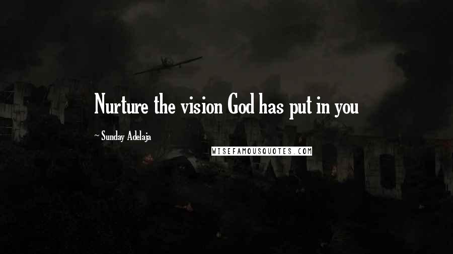 Sunday Adelaja Quotes: Nurture the vision God has put in you