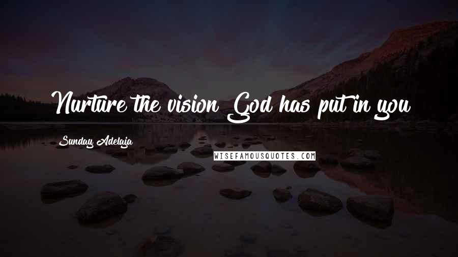 Sunday Adelaja Quotes: Nurture the vision God has put in you