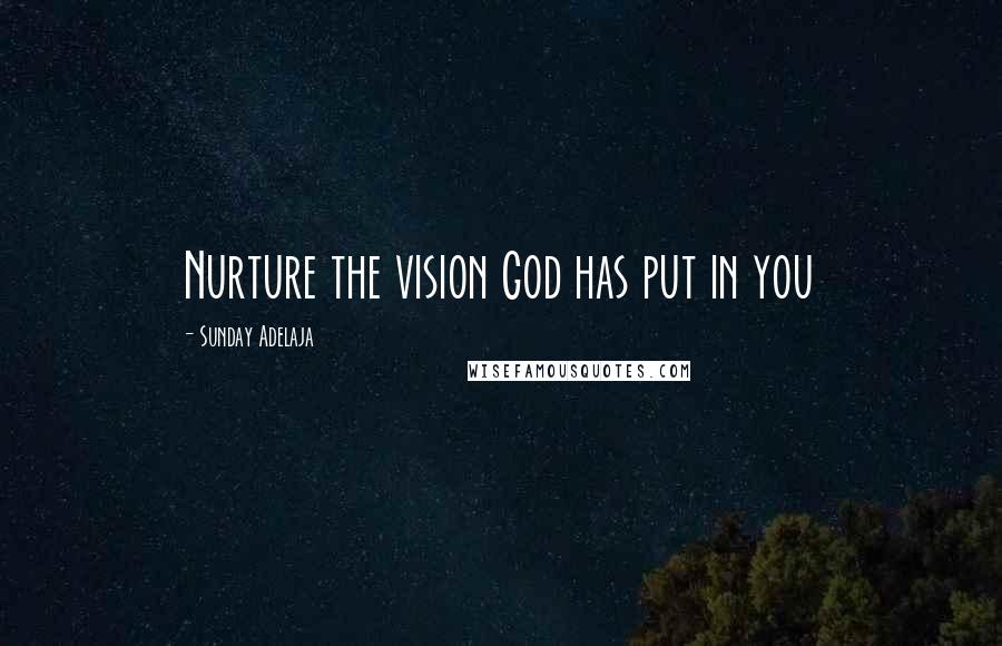 Sunday Adelaja Quotes: Nurture the vision God has put in you