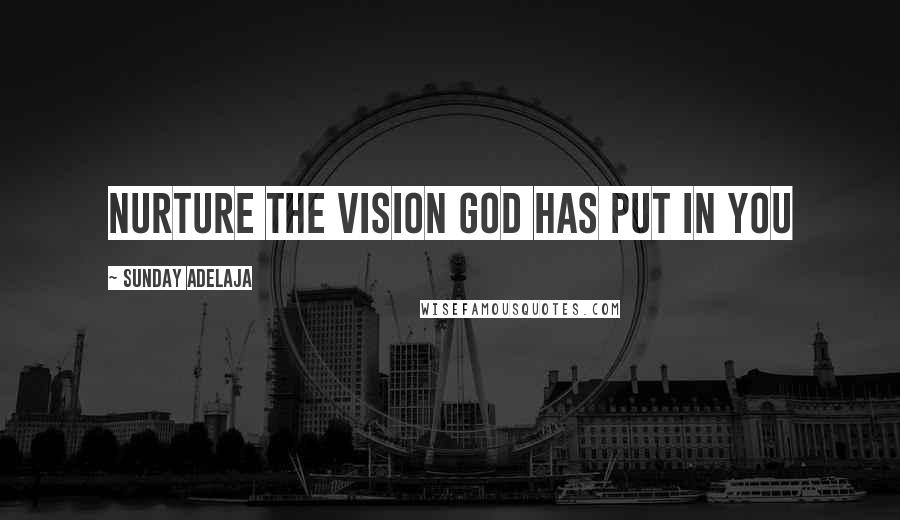 Sunday Adelaja Quotes: Nurture the vision God has put in you