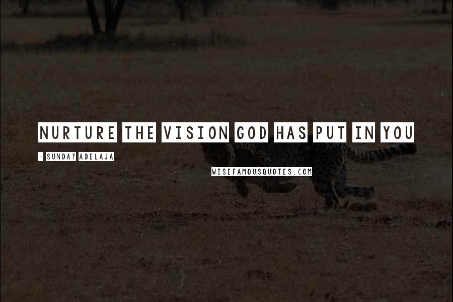 Sunday Adelaja Quotes: Nurture the vision God has put in you