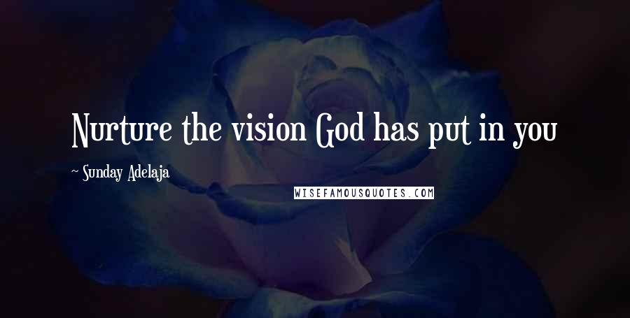 Sunday Adelaja Quotes: Nurture the vision God has put in you