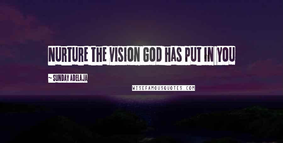 Sunday Adelaja Quotes: Nurture the vision God has put in you