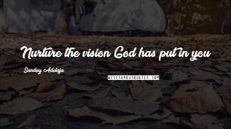 Sunday Adelaja Quotes: Nurture the vision God has put in you