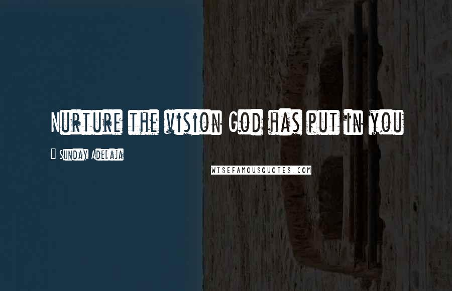 Sunday Adelaja Quotes: Nurture the vision God has put in you