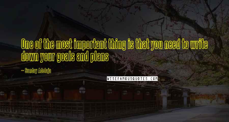 Sunday Adelaja Quotes: One of the most important thing is that you need to write down your goals and plans