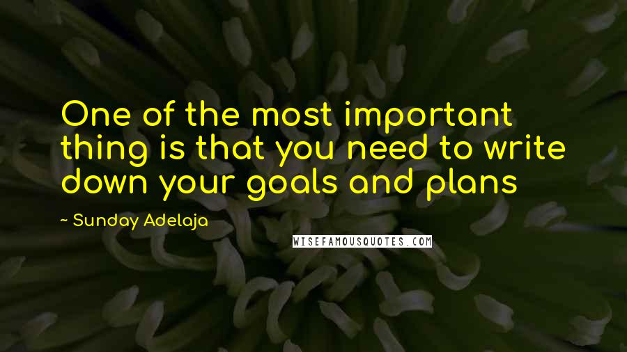 Sunday Adelaja Quotes: One of the most important thing is that you need to write down your goals and plans