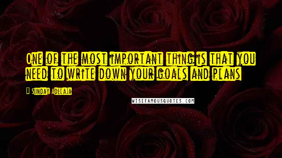 Sunday Adelaja Quotes: One of the most important thing is that you need to write down your goals and plans