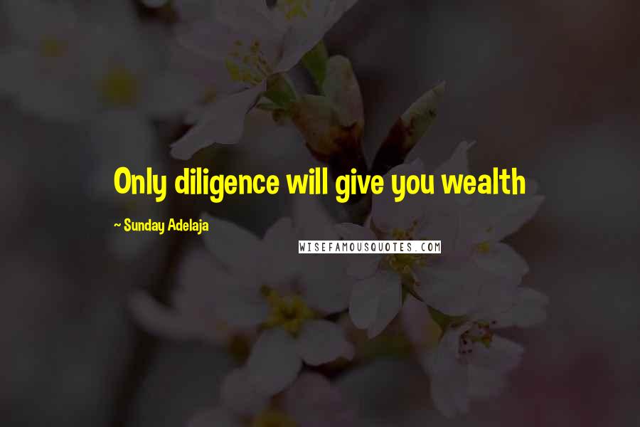 Sunday Adelaja Quotes: Only diligence will give you wealth