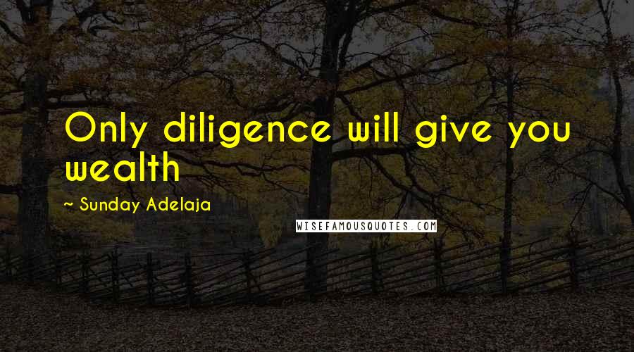 Sunday Adelaja Quotes: Only diligence will give you wealth