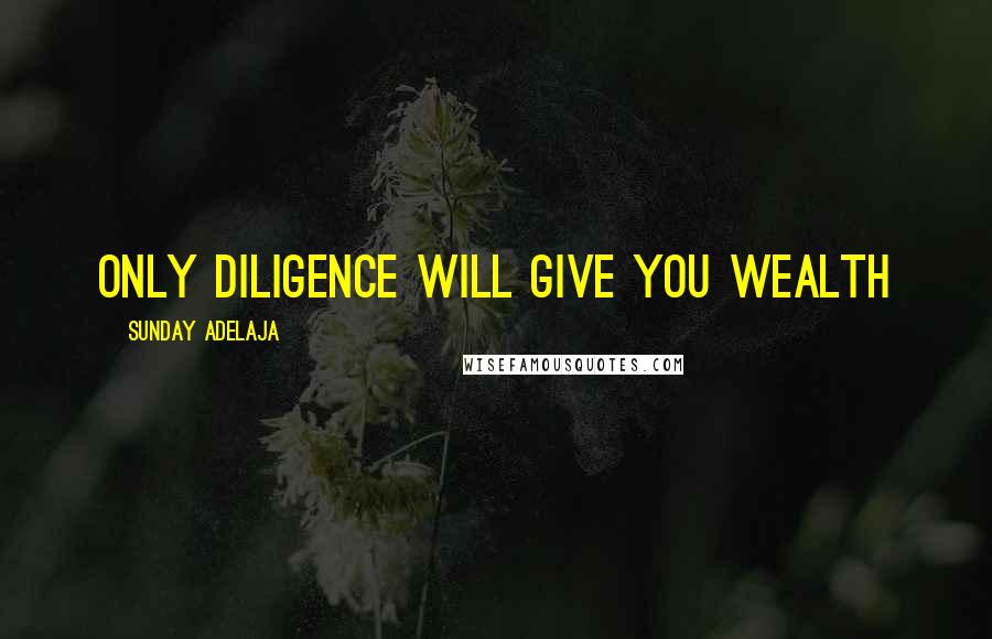 Sunday Adelaja Quotes: Only diligence will give you wealth