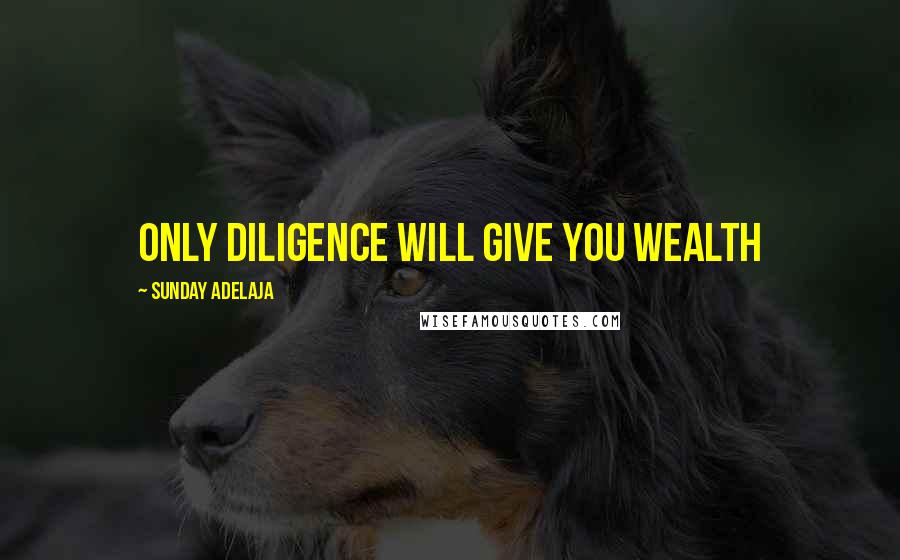 Sunday Adelaja Quotes: Only diligence will give you wealth