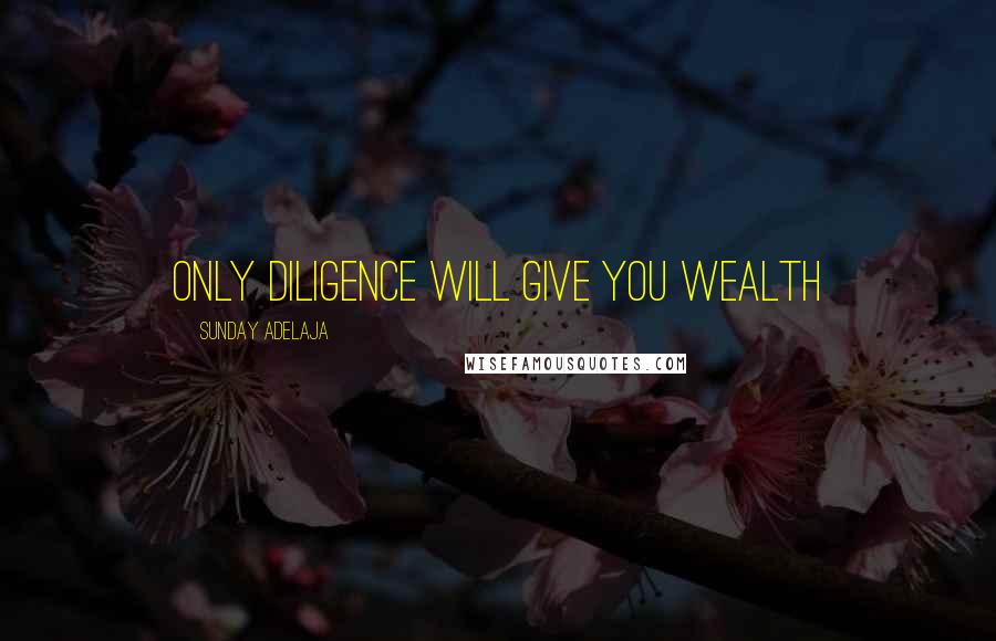 Sunday Adelaja Quotes: Only diligence will give you wealth