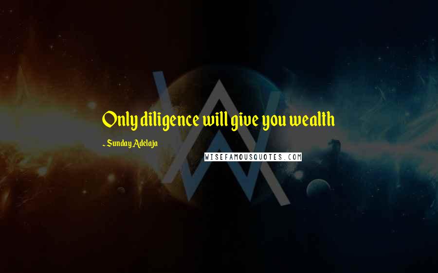 Sunday Adelaja Quotes: Only diligence will give you wealth
