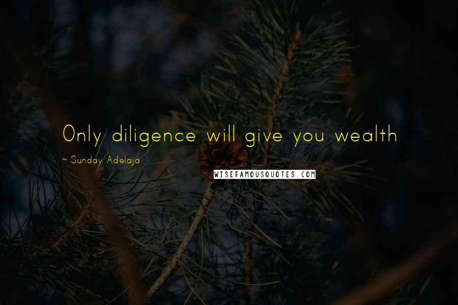 Sunday Adelaja Quotes: Only diligence will give you wealth