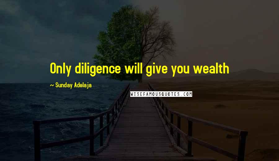 Sunday Adelaja Quotes: Only diligence will give you wealth