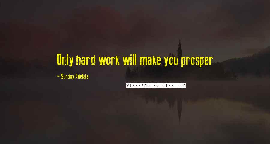 Sunday Adelaja Quotes: Only hard work will make you prosper