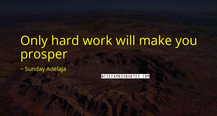 Sunday Adelaja Quotes: Only hard work will make you prosper