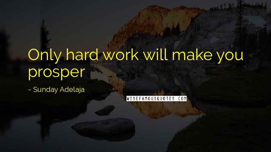 Sunday Adelaja Quotes: Only hard work will make you prosper