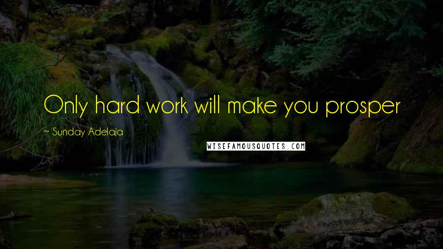 Sunday Adelaja Quotes: Only hard work will make you prosper