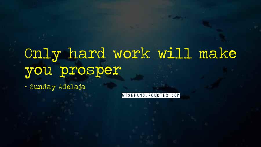 Sunday Adelaja Quotes: Only hard work will make you prosper