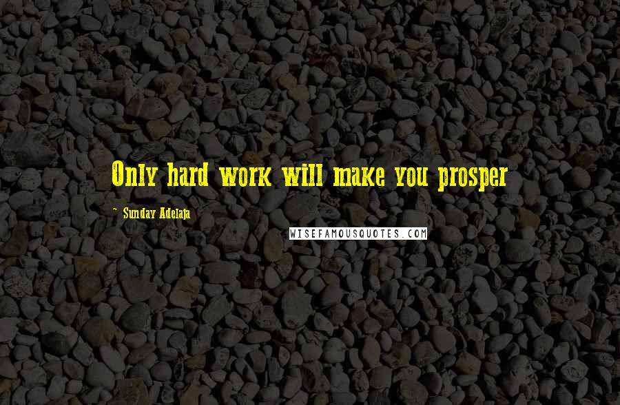 Sunday Adelaja Quotes: Only hard work will make you prosper