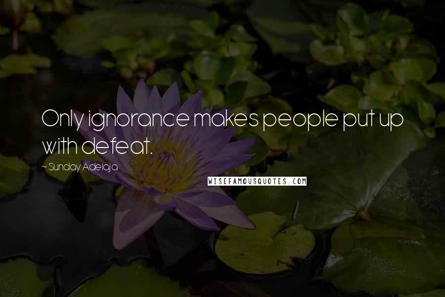 Sunday Adelaja Quotes: Only ignorance makes people put up with defeat.