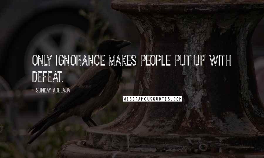 Sunday Adelaja Quotes: Only ignorance makes people put up with defeat.