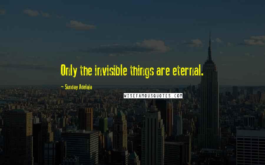 Sunday Adelaja Quotes: Only the invisible things are eternal.