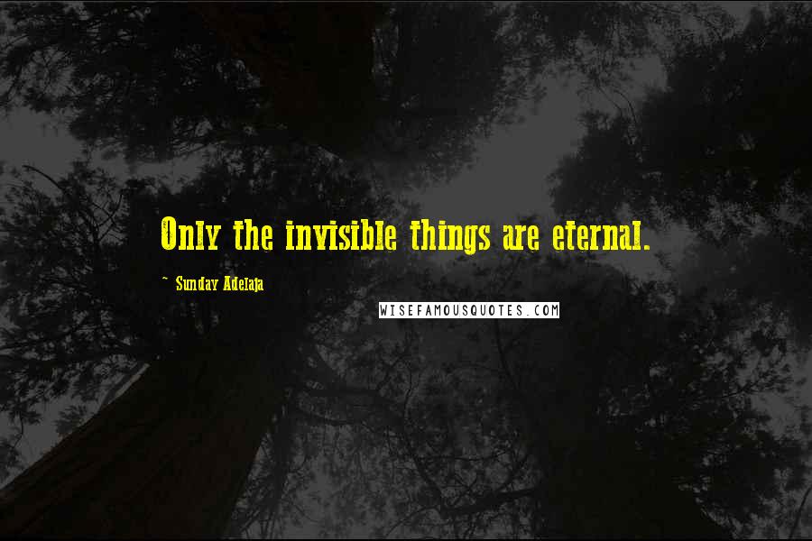 Sunday Adelaja Quotes: Only the invisible things are eternal.