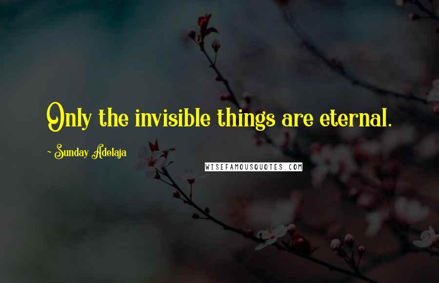 Sunday Adelaja Quotes: Only the invisible things are eternal.