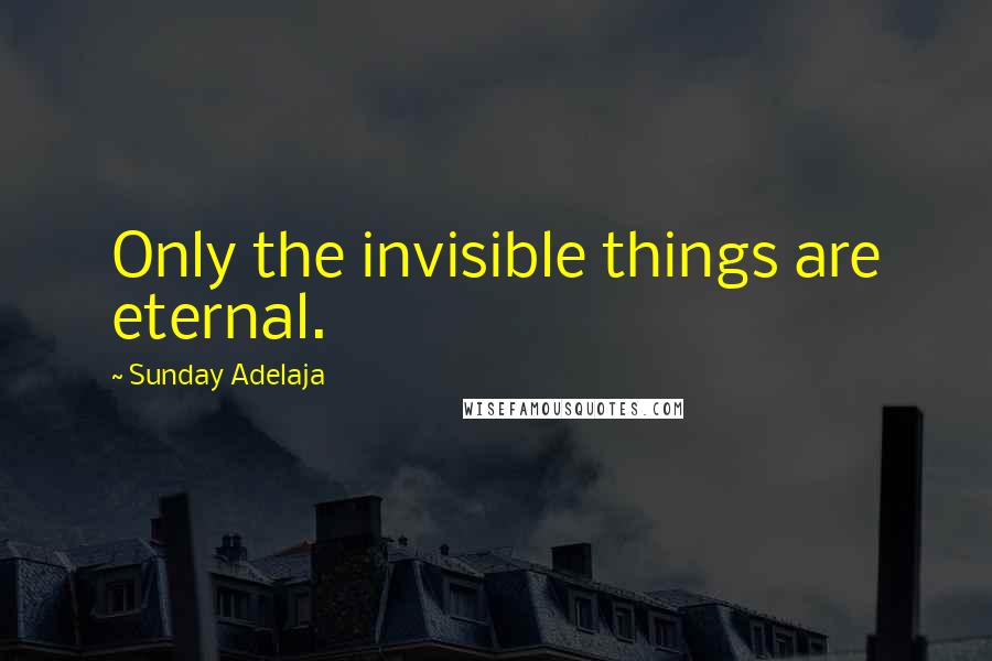 Sunday Adelaja Quotes: Only the invisible things are eternal.