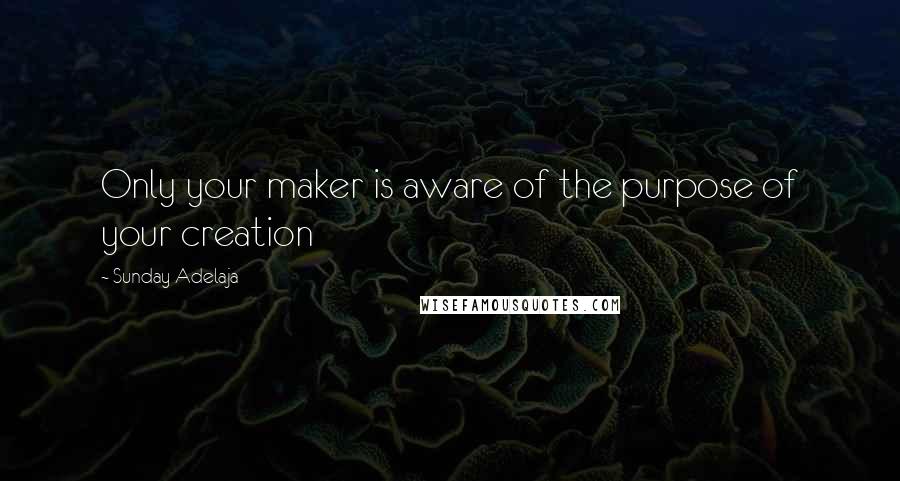 Sunday Adelaja Quotes: Only your maker is aware of the purpose of your creation