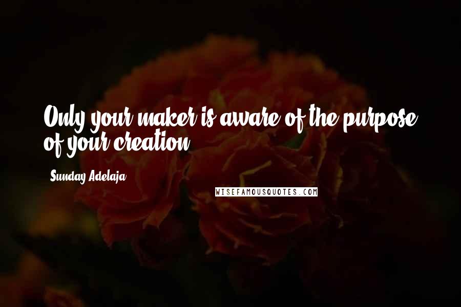 Sunday Adelaja Quotes: Only your maker is aware of the purpose of your creation