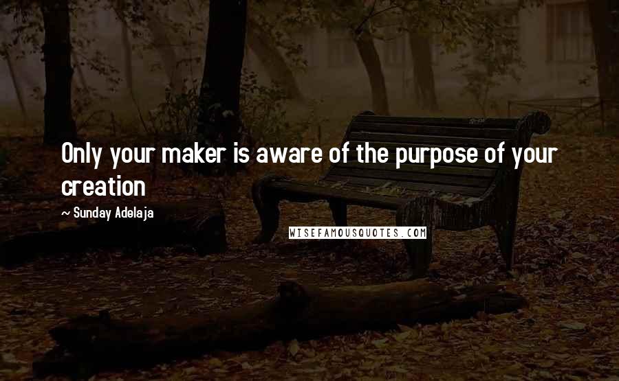 Sunday Adelaja Quotes: Only your maker is aware of the purpose of your creation