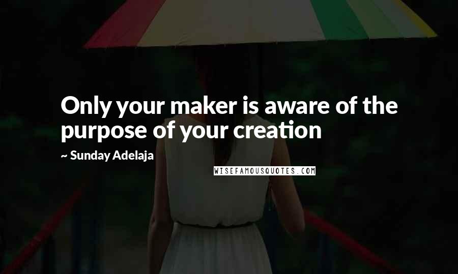 Sunday Adelaja Quotes: Only your maker is aware of the purpose of your creation