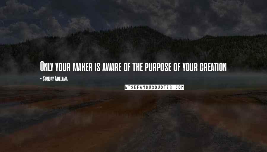 Sunday Adelaja Quotes: Only your maker is aware of the purpose of your creation