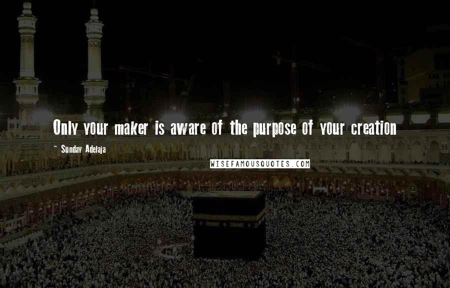 Sunday Adelaja Quotes: Only your maker is aware of the purpose of your creation