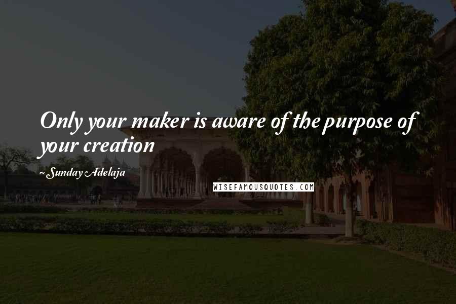 Sunday Adelaja Quotes: Only your maker is aware of the purpose of your creation