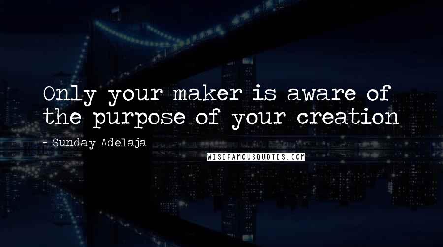 Sunday Adelaja Quotes: Only your maker is aware of the purpose of your creation