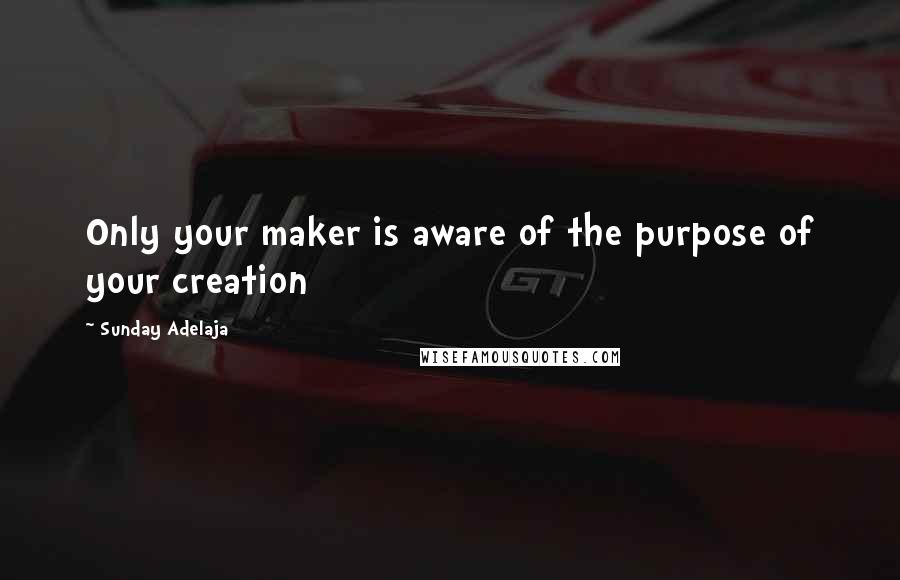 Sunday Adelaja Quotes: Only your maker is aware of the purpose of your creation