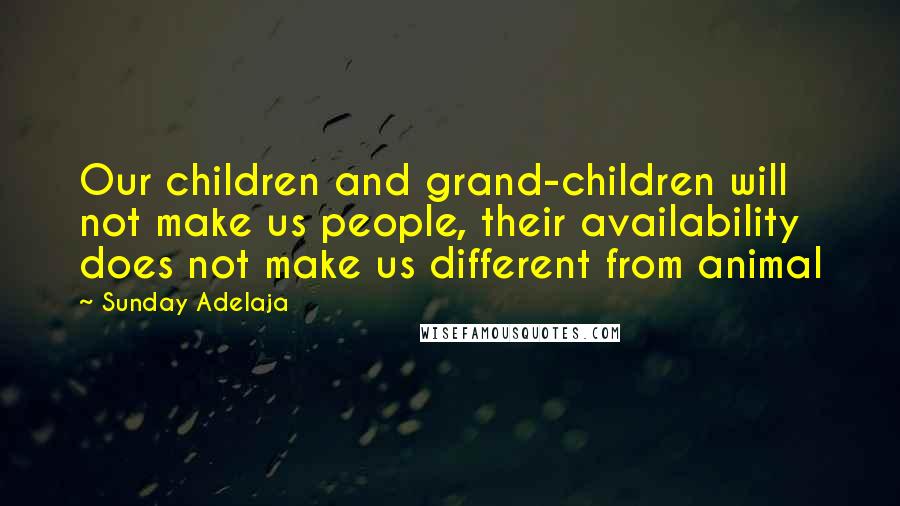Sunday Adelaja Quotes: Our children and grand-children will not make us people, their availability does not make us different from animal