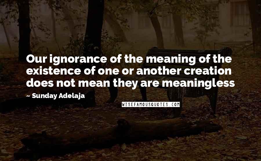 Sunday Adelaja Quotes: Our ignorance of the meaning of the existence of one or another creation does not mean they are meaningless