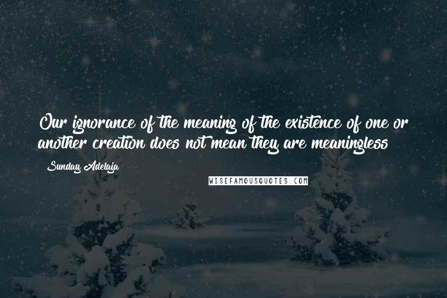 Sunday Adelaja Quotes: Our ignorance of the meaning of the existence of one or another creation does not mean they are meaningless