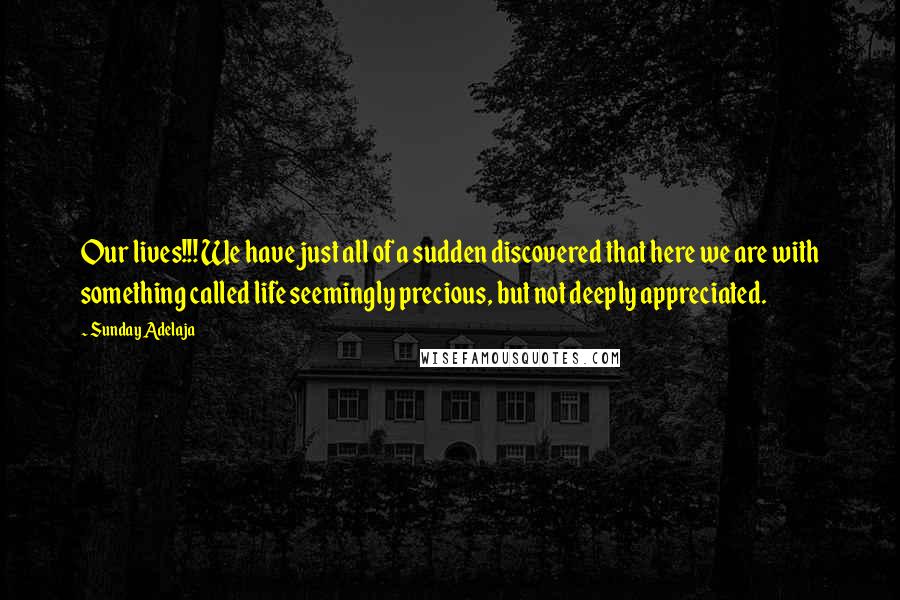 Sunday Adelaja Quotes: Our lives!!! We have just all of a sudden discovered that here we are with something called life seemingly precious, but not deeply appreciated.