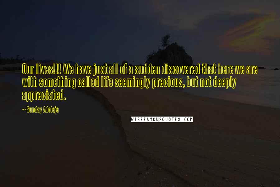 Sunday Adelaja Quotes: Our lives!!! We have just all of a sudden discovered that here we are with something called life seemingly precious, but not deeply appreciated.