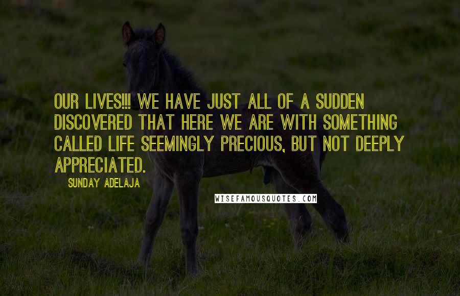 Sunday Adelaja Quotes: Our lives!!! We have just all of a sudden discovered that here we are with something called life seemingly precious, but not deeply appreciated.