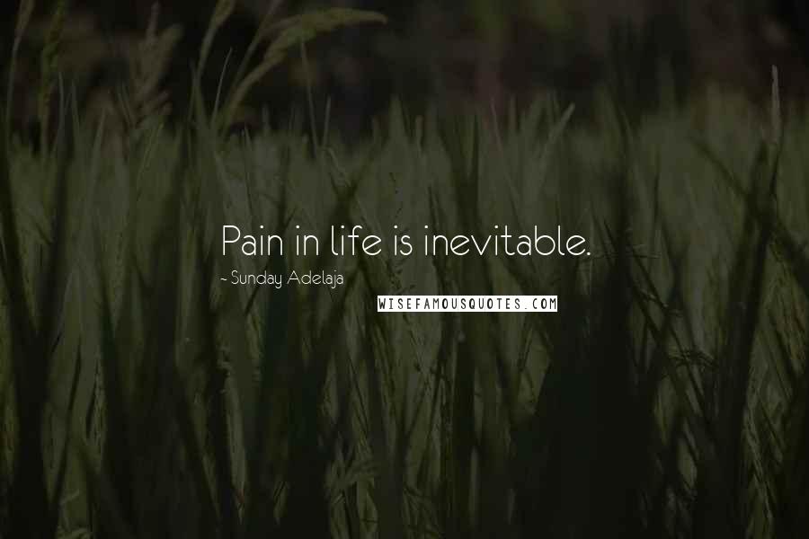 Sunday Adelaja Quotes: Pain in life is inevitable.